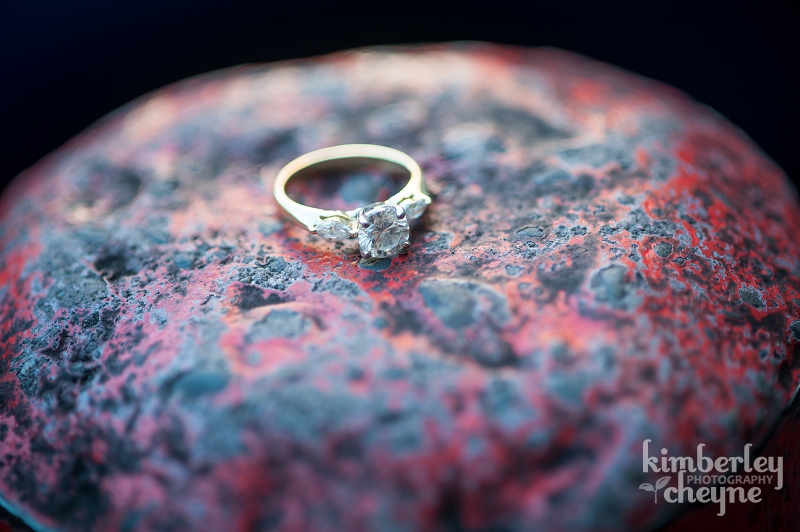 Engagement ring photos, Dunedin