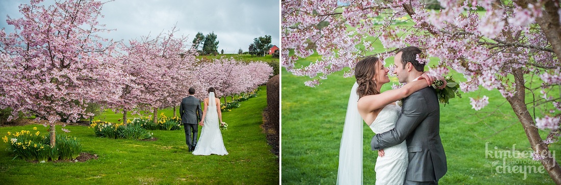 Te Anau Wedding, Photography, Spring, Blossoms, Bride, Groom, Wedding Flowers, Couple Walking