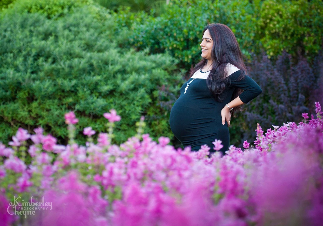 Maternity photographs, Dunedin