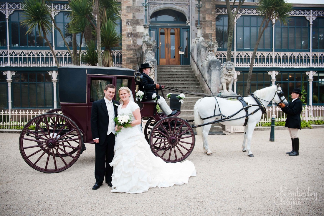 Horse and Carriage, Larnach's Castle