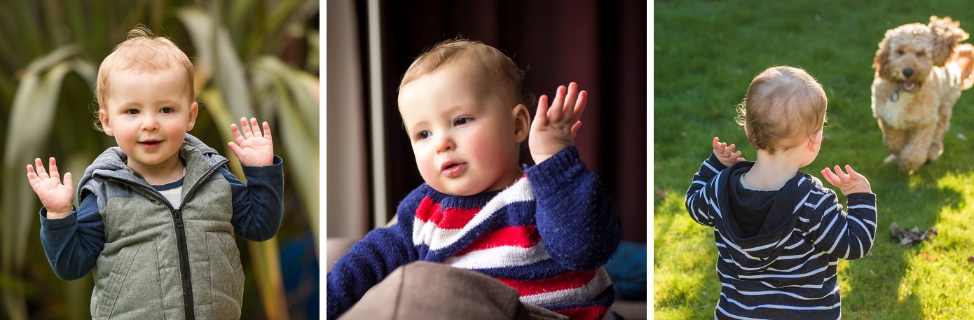Baby Sign Language Where?